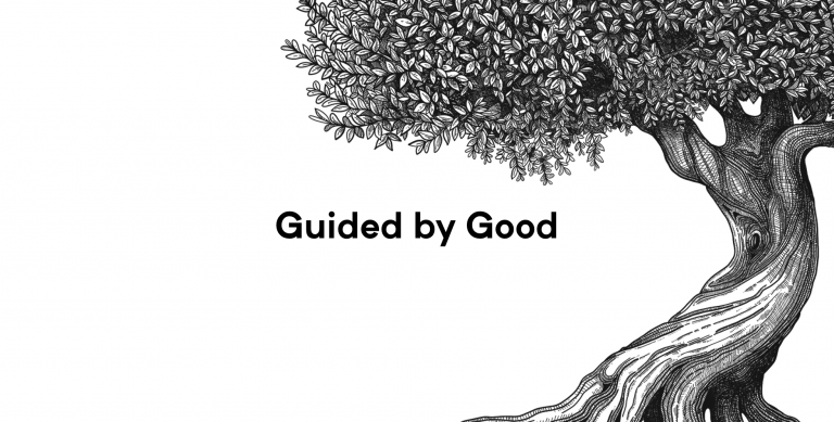 Guided by Good Website